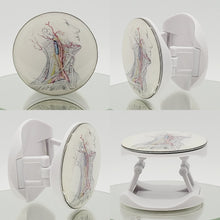 Load image into Gallery viewer, Anatomy Inspired Phone Grip Collection: Human Anatomy Inspired Phone Grip, Multiple Options