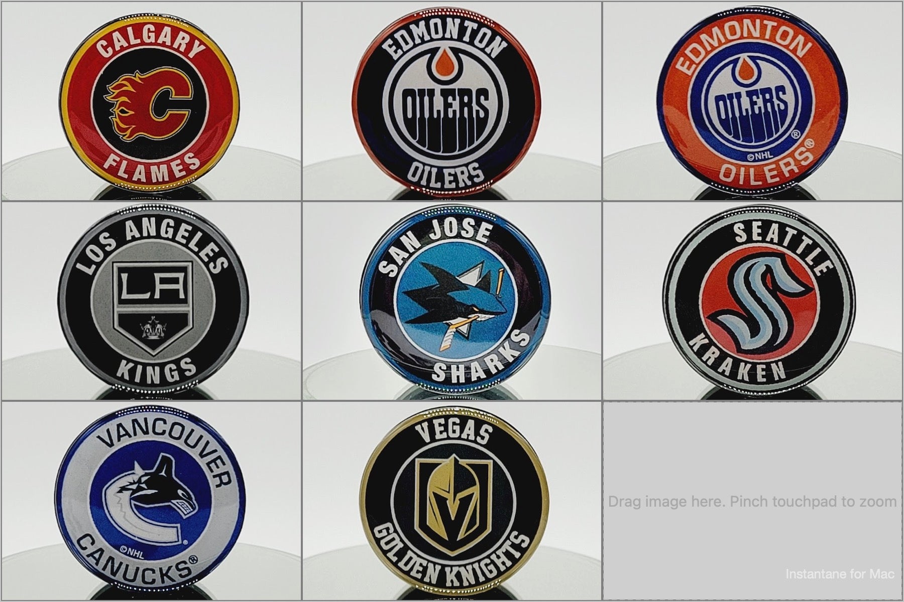 Custom NHL Phone Grip or Badge Reel with Epoxy Overlay: Pick Your