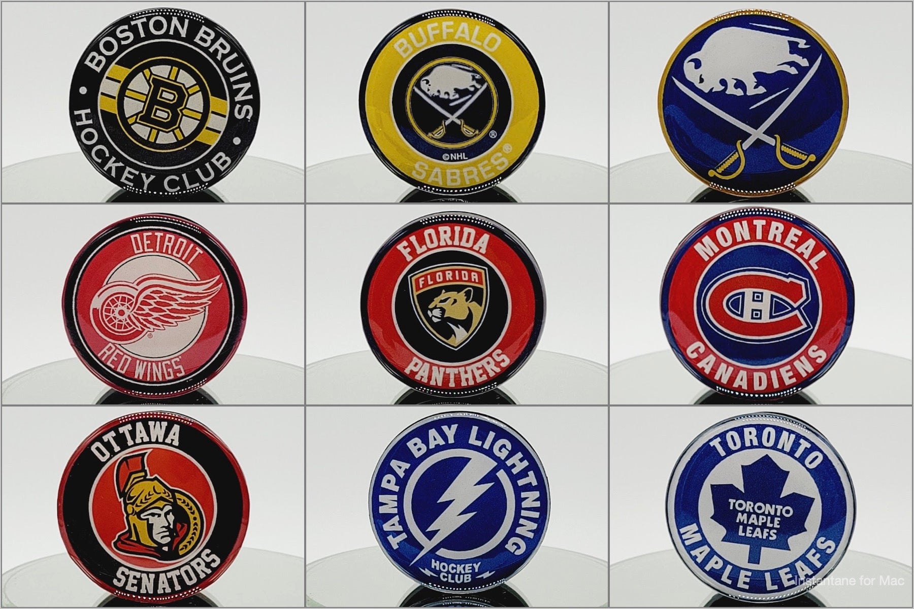Custom NHL Phone Grip or Badge Reel with Epoxy Overlay: Pick Your Team Pick  Your Base: Style Set 2