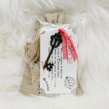 Load image into Gallery viewer, SET: Sant's Magic Key and Magic Reindeer Food